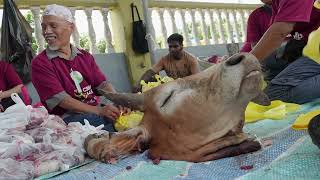 Download lagu Ibadah Korban Hari Raya Aidiladha 1445h / 2024, Masjid Jamek Batu Arang Rawang mp3 Download lagu Ibadah Korban Hari Raya Aidiladha 1445h / 2024, Masjid Jamek Batu Arang Rawang mp3