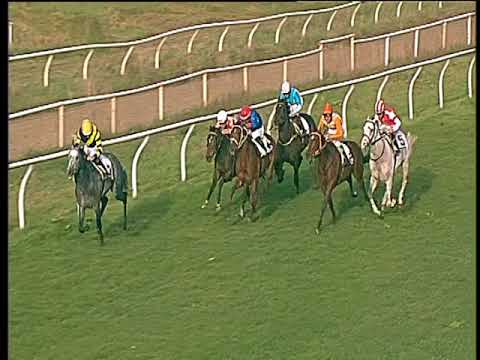 Galoppo 08/03/2018 - 4ª corsa