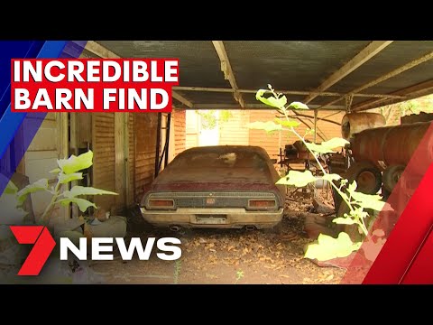 Muscle car enthusiasts to bid for incredible find in Queensland shed | 7NEWS