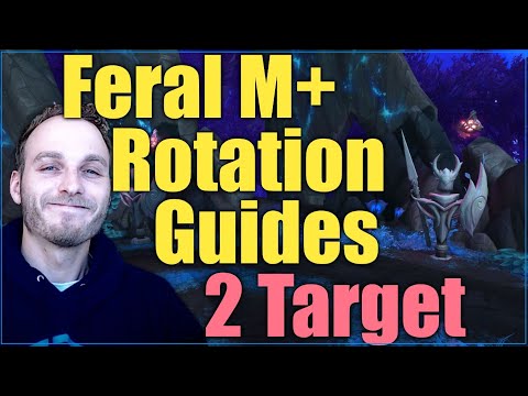WoW Shadowlands: Feral M+ Rotation Guides - 2 Target BT + No BT - Psybearslat