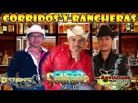 El solitario Del Sur,El Dictador de La Sierra ,Los Aguilillos de La Sierra || Corridos y Rancheras