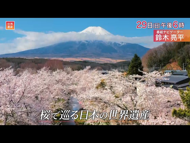世界遺産〜桜で巡る 日本の世界遺産🈖🈑