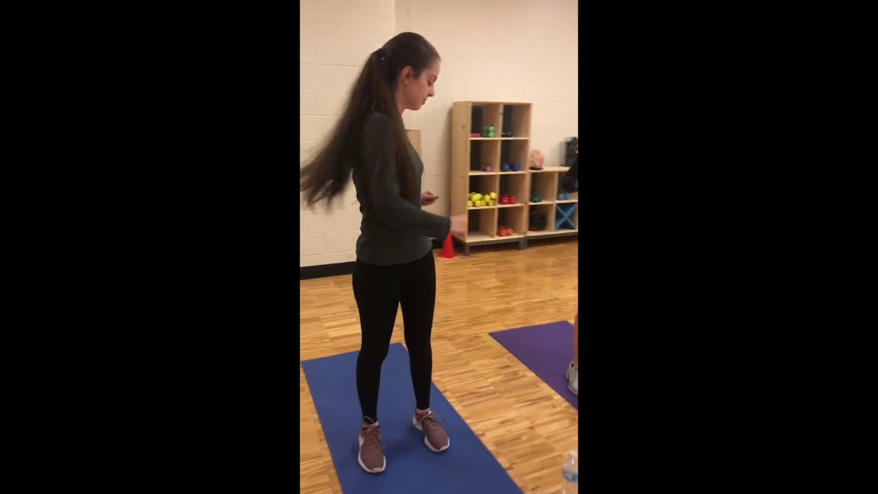 Chang  Lab Fall 2018