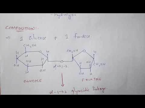CHAPTER CARBOHYDRATES part 1 BIOCHEMISTRY BY PHANINDRA GUPTA
