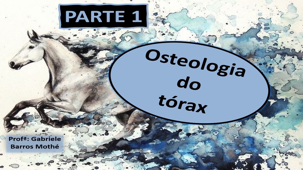 OSTEOLOGIA DO TÓRAX - parte 1 (anatomia veterinária)