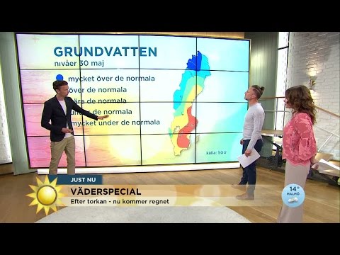 Väderspecial: "Allt regn som kommer är välbehövligt" - Nyhetsmorgon (TV4)