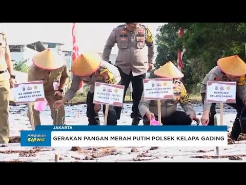 POLSEK KELAPA GADING LUNCURKAN GERAKAN PANGAN MERAH PUTIH