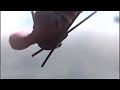 Dead Pool Dope Anthem Status Deadpool