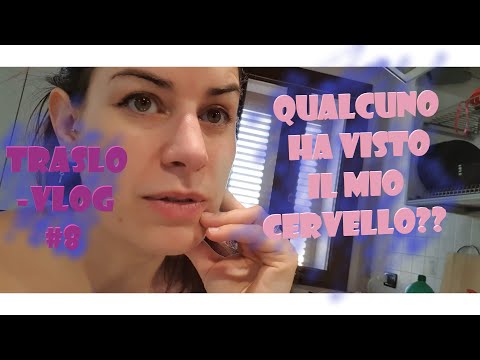 TRASLOVLOG#8 || NON RIESCO PIù A PARLARE || STRESS A GO GO || Dragonfly fairy