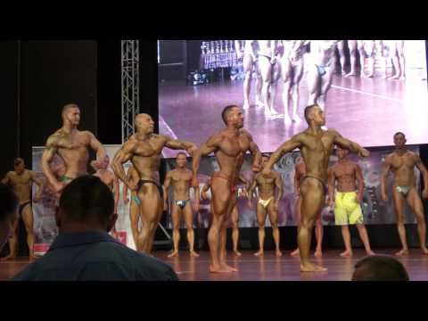 2nd Group Quarter Turms - Newcomers - NABBA Czech Championship 2016