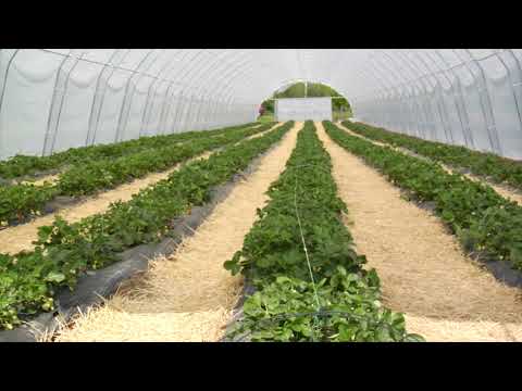 Reč struke ep. 262 13.08.2019. NAJAVA