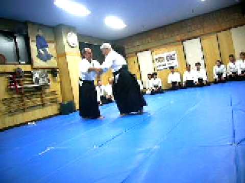 Aikido with Sugawara Sensei 2