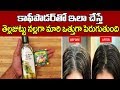 కాఫీ పొడిని ఇలా వాడితే తెల్ల జుట్టు న�