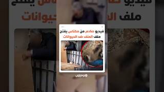 غضب واسع بعد محاولة قـ.تل جراء بطريقة وحشية في مكناس ومطالب عاجلة لفتح تحقيق ومحاسبة المتورط thumbnail