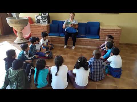 Dona Baratinha de Ana Maria Machado