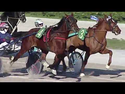 Aversa trotto 22 Febbraio 2020 - 1° Corsa