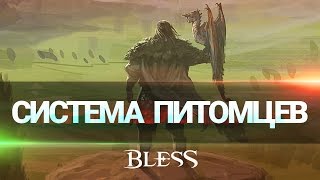 Великое разнообразие спутников и ездовых животных в Bless