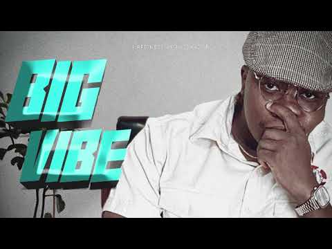 BIG VIBE (Official Audio ) - Happiness Ambassaador