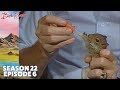 Bob Ross - Purple Haze (Season 22 Episode 6)