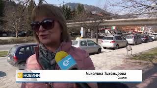 1000 безплатни фиданки за Седмицата на гората