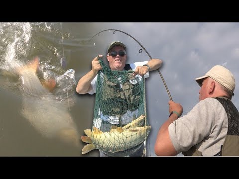 Pecanje šarana na Dunavu | Dubinsko pecanje šarana 2 | Fishing carp in river 2
