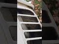 Littledean Camper Van Wasp Nest Removal