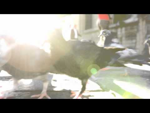 Modeselektor featuring Thom Yorke - The White Flash