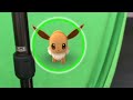 An interview with a common Pokemon (Eevee)