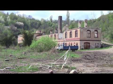 Mina Ghelari, in 2015