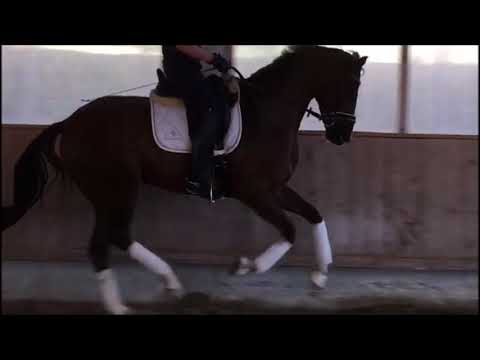 Don Frederic   Licotus