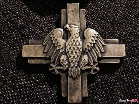 Polish People's Army vs  Wehrmacht 1943