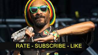 Snoop Lion Feat. Chris Brown & Busta Rhymes - Remedy - Reincarnated