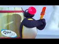 Pingu And The Paint Pingu Official Channel Cartoons For Kids