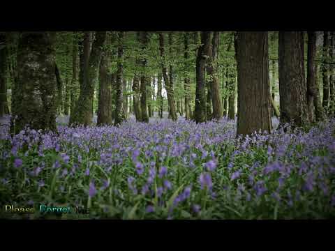 TW1GZ + hidden jayeem || her ghost