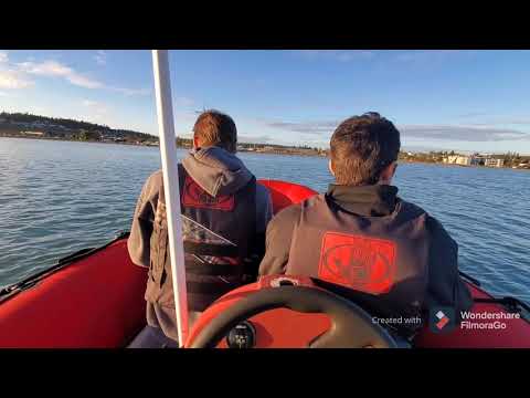 zodiac pro 550 overpowered