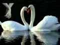 YouTube - Swan - Antony Ventura love story_WMV ...