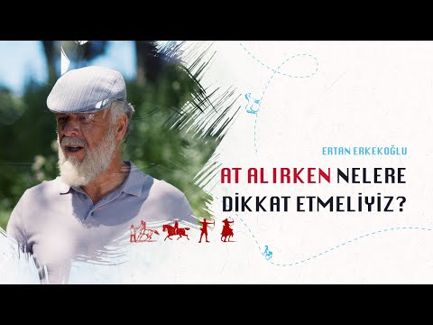 , title : 'At Alırken Nelere Dikkat Etmeliyiz ? | Ertan Erkekoğlu'