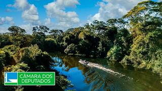  Discussão e votação de propostas legislativas - 19/05/2026 14:00
