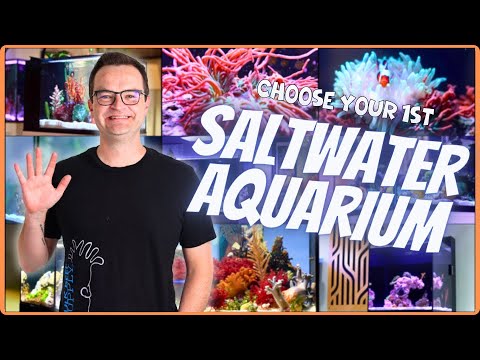 Dream BIG... Your Saltwater Aquarium Journey Starts HERE! EP: 1