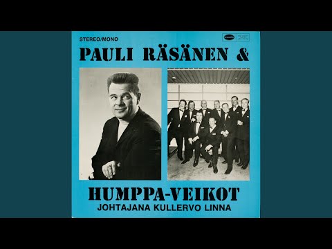 Tukkipoika porskuttaapi