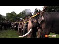 நீலகிரி முதுமலை விநாயகர் சதுர்த்தி வ