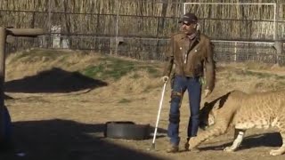 Tiger King | Joe Exotic attacked by tiger
