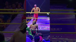 This is Lucha Libre, Baby! Ready to Get Knocked Out? 😉