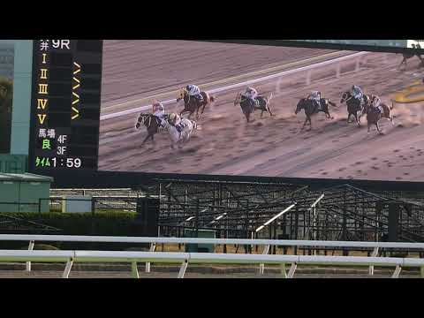 2021年東京大賞典 12/29 オメガパフューム４連覇！