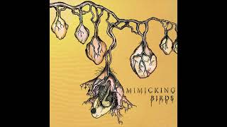 Mimicking Birds - Pixels