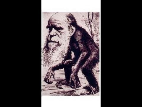 Origen de la Música 9/10 - El eslabón perdido - Manuel Lafarga