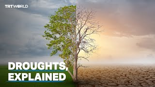 What are droughts