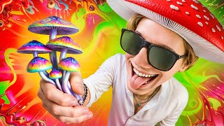 Жуткий На₽кот😻ик который ускоряет Мозг на 200%