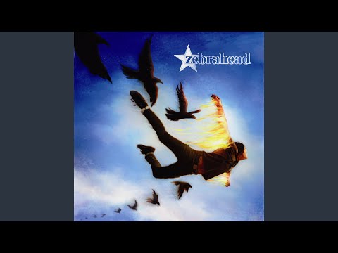 Sorry But Your Friends Are Hot - Zebrahead