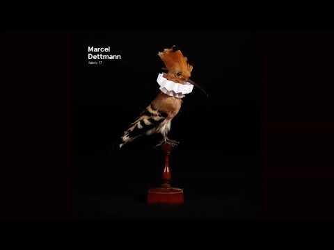 Marcel Dettmann - Fabric 77